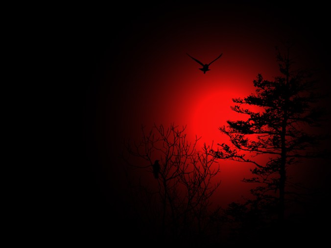 blood_moon_by_darkriderdlmc-d4rzhrg