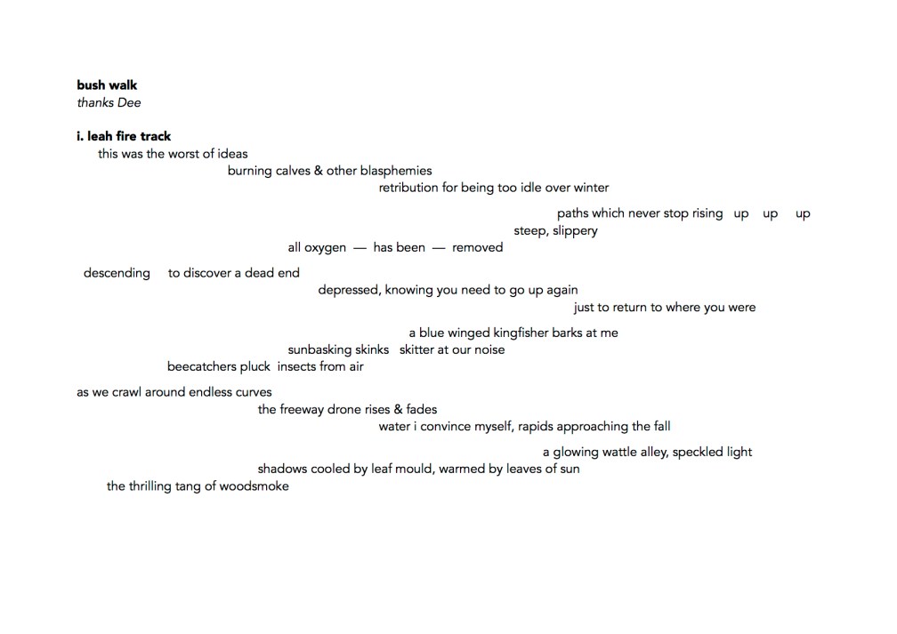 bush walk - i. leah fire track