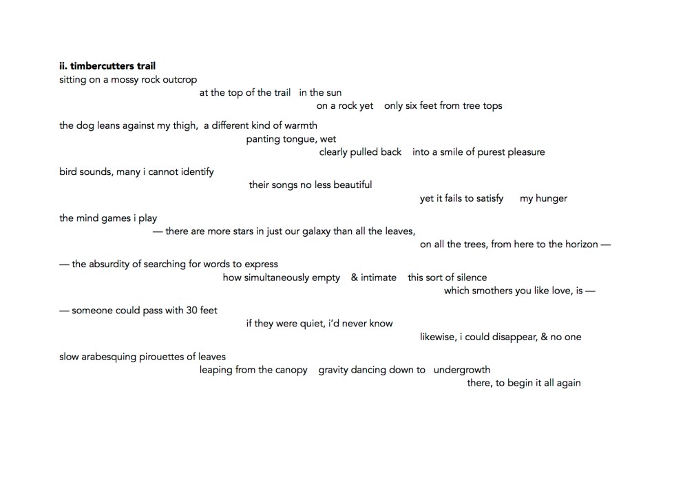 bush walk - ii. timbercutters trail