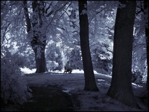 Alone____by_MichiLauke