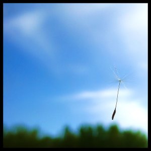 Float_Away_by_billyunderscorebwa