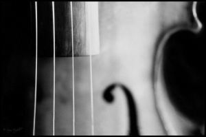 violin_by_soozn
