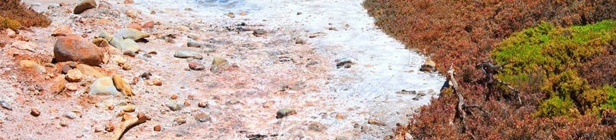 dry-salt-creek CROP flip.jpg