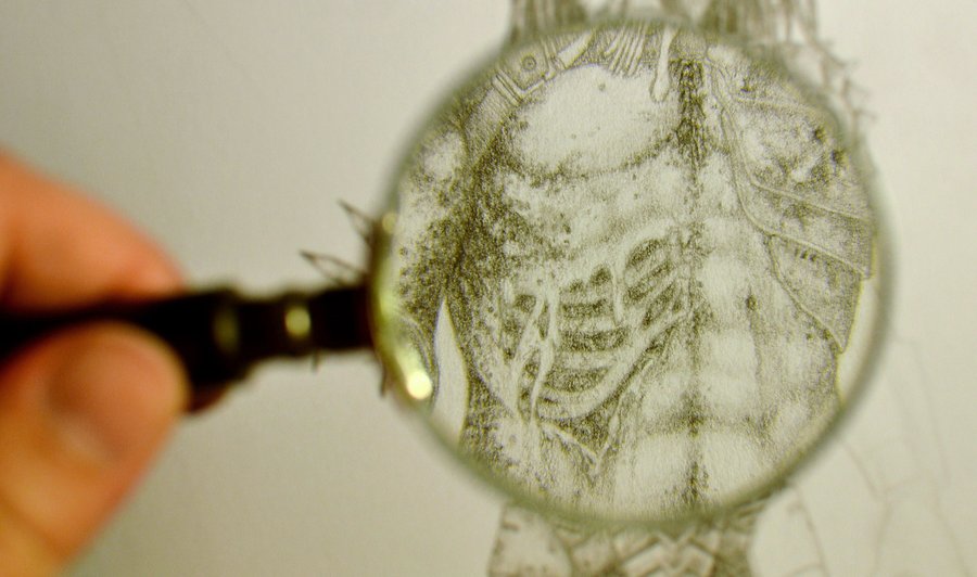 02 in_my_magnifying_glass_01_by_coollekotten-d4jgu83