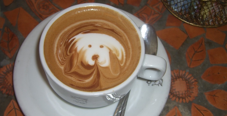 dogaccino