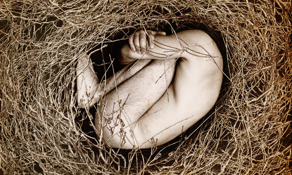 nest_ii_by_kasiaznana CROP